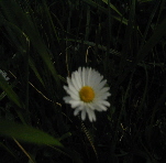 Platzhalter-Bild